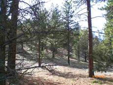  Unit 1 Lot 219 Old Camp Rd., Weed, CA photo