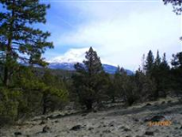  Unit 1 Lot 219 Old Camp Rd., Weed, CA 8736574