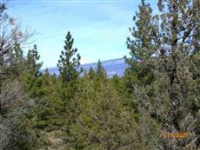  Unit 1 Lot 219 Old Camp Rd., Weed, CA 8736575