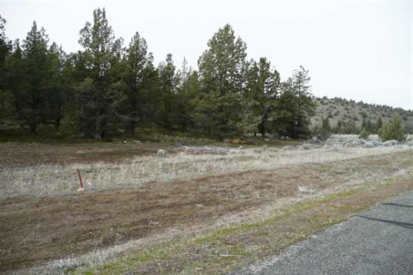  Unit 3 Lot 25 Silver Spur Rd, Weed, CA photo