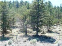  Unit 3 Lot 15 Silver Spur, Weed, CA 8736580