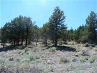  Unit 3 Lot 15 Silver Spur, Weed, CA 8736581
