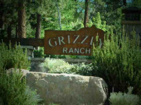  1771 Grizzly Ranch Road, Portola, CA 8739476