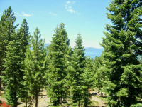  3971 Crest Rd, South Lake Tahoe, CA 8743725