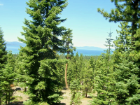  3971 Crest Rd, South Lake Tahoe, CA 8743724