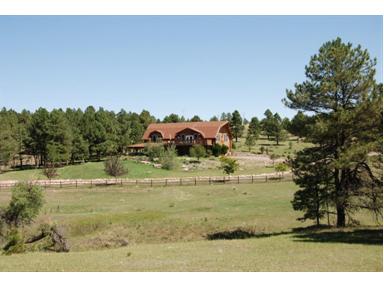  24650 High Timber Ln, Agate, CO photo