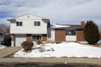  11141 Gray St, Westminster, CO photo