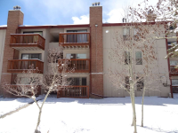  1901 Clear Creek Dr #102C, Georgetown, CO 5091260