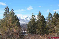  74 Summit Cir, Durango, Colorado  5881454