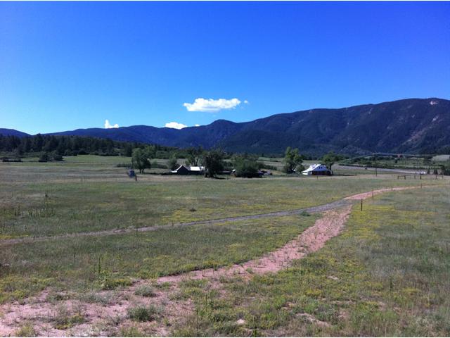  8368 South Perry Park Road, Larkspur, CO photo