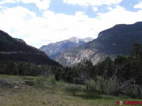 226 County Road 14, Ouray, CO 81427