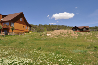  347 Faas Ranch, New Castle, CO 6484506