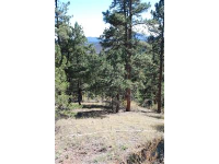 7 Pine Valley Road, Pine, CO 80470