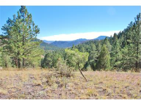5 Pine Valley Road, Pine, CO 80470