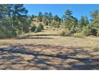3 Pine Valley Road, Pine, CO 80470