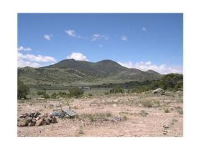  0001 Antelope Trail, Del Norte, CO 7263407