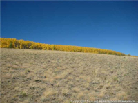  1215 Breakneck Pass Ranch Rd 07, Fairplay, CO 7282406