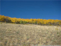  1215 Breakneck Pass Ranch Rd 07, Fairplay, CO 7282403