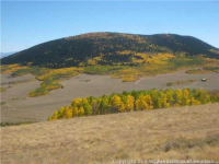  1215 Breakneck Pass Ranch Rd 07, Fairplay, CO 7282405