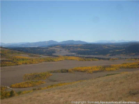  1215 Breakneck Pass Ranch Rd 07, Fairplay, CO 7282404