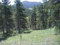  7384 Heiter Hill Road, Evergreen, CO 7282661