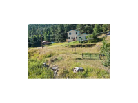  29542 Spruce Rd, Evergreen, CO 7282998