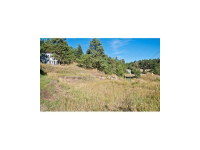  29542 Spruce Rd, Evergreen, CO 7283001