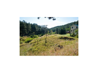  29542 Spruce Rd, Evergreen, CO 7283000