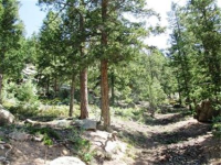  31496 Kings Valley, Conifer, CO 7283596