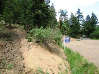  31496 Kings Valley, Conifer, CO 7283606