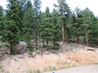  31496 Kings Valley, Conifer, CO 7283597