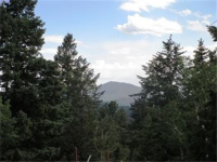  31496 Kings Valley, Conifer, CO 7283591