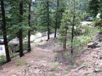  31496 Kings Valley, Conifer, CO 7283603