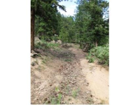  31496 Kings Valley, Conifer, CO 7283605