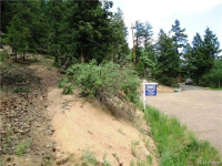  31496 Kings Valley, Conifer, CO 7283607