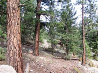  31496 Kings Valley, Conifer, CO 7283601