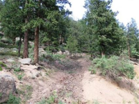  31496 Kings Valley, Conifer, CO 7283599