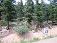  31496 Kings Valley, Conifer, CO 7283598