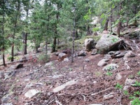  31496 Kings Valley, Conifer, CO 7283593