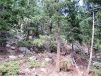  31496 Kings Valley, Conifer, CO 7283600