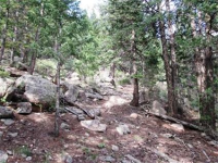  31496 Kings Valley, Conifer, CO 7283594