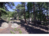  30271 Kings Valley East, Conifer, CO 7283612