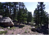  30271 Kings Valley East, Conifer, CO 7283613