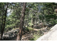  30271 Kings Valley East, Conifer, CO 7283626