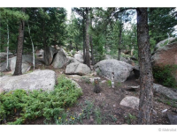  30271 Kings Valley East, Conifer, CO 7283631