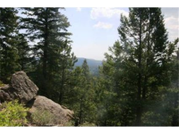  30271 Kings Valley East, Conifer, CO 7283623