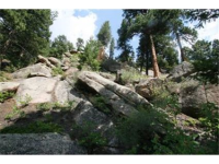  30271 Kings Valley East, Conifer, CO 7283618
