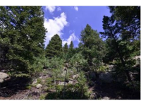  30271 Kings Valley East, Conifer, CO 7283616