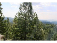  30271 Kings Valley East, Conifer, CO 7283627