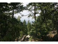  30271 Kings Valley East, Conifer, CO 7283622